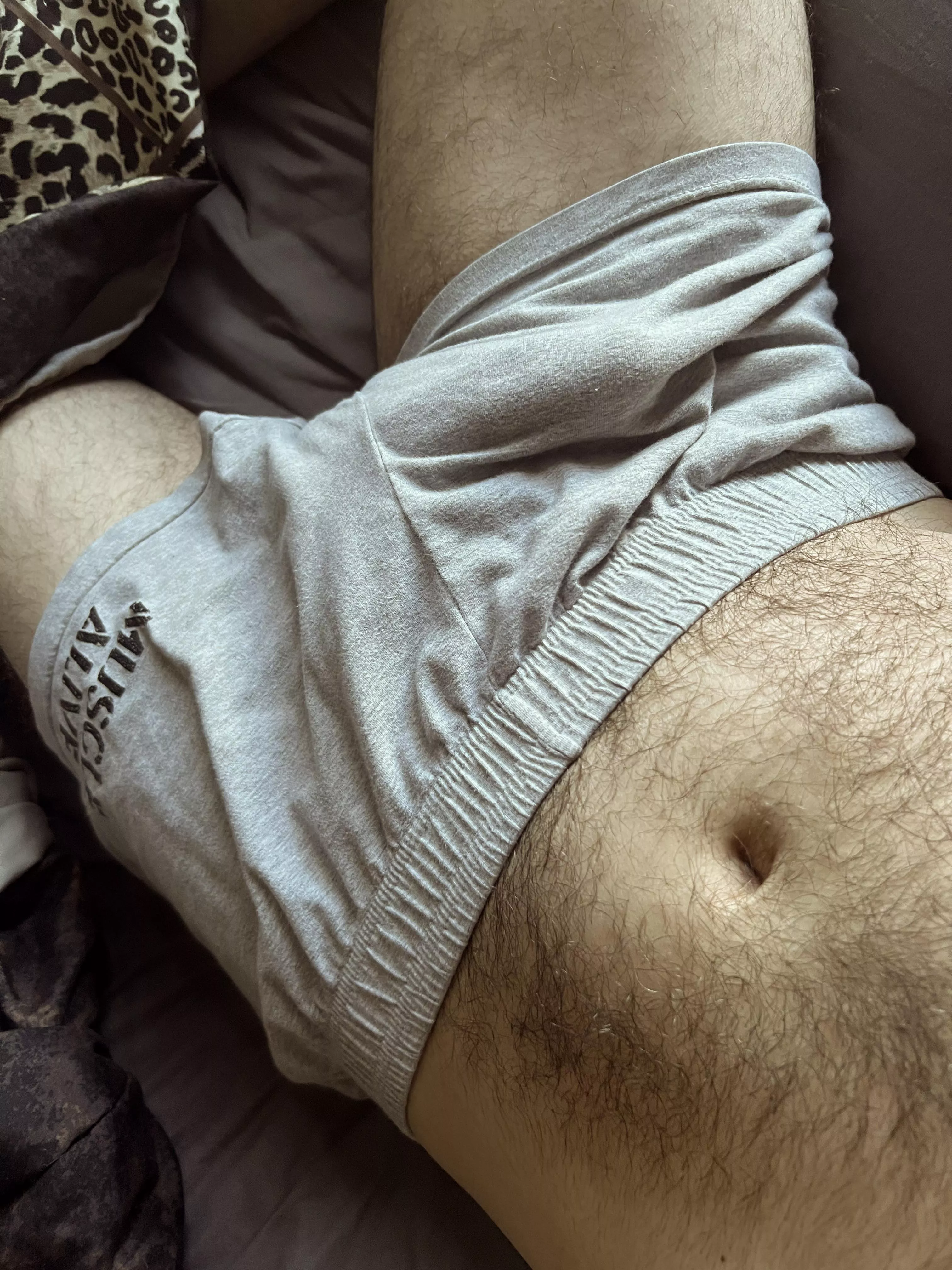 Good morning posted by bored_echidna