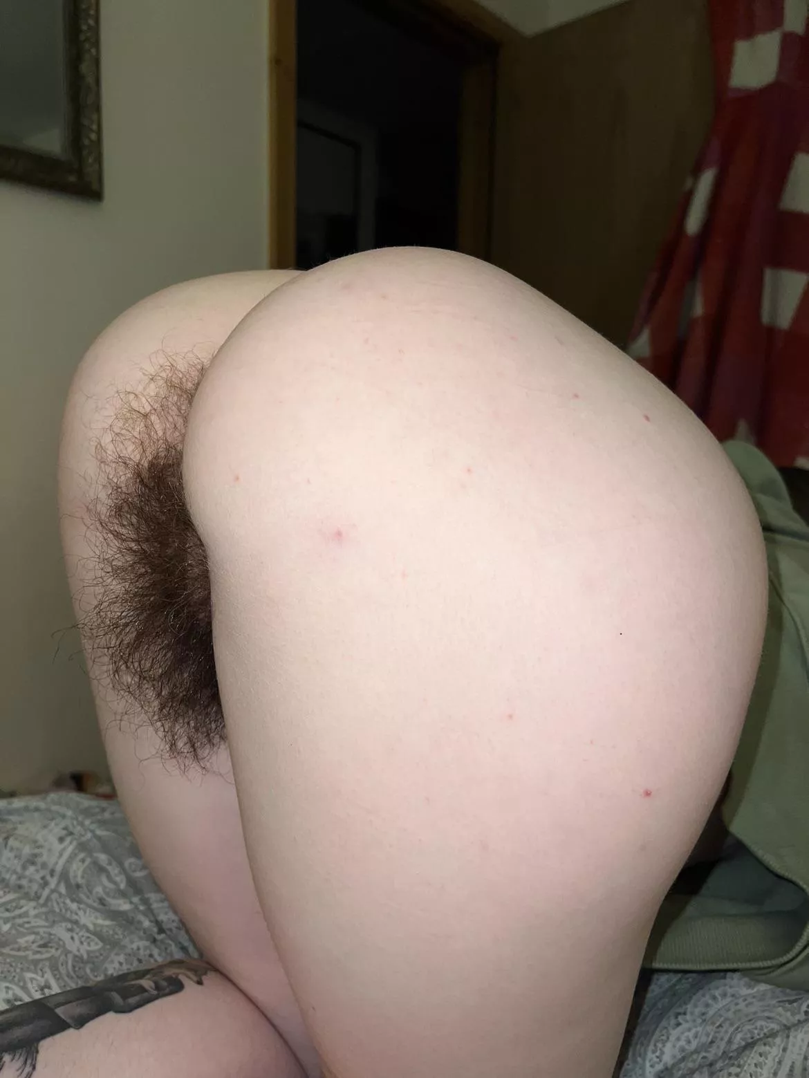 [h] brave enough to eat out a hairy ass like this? posted by Many-Aioli688