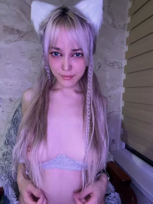 Having a kitten is a big responsibility, do you realize that? by dotxavi