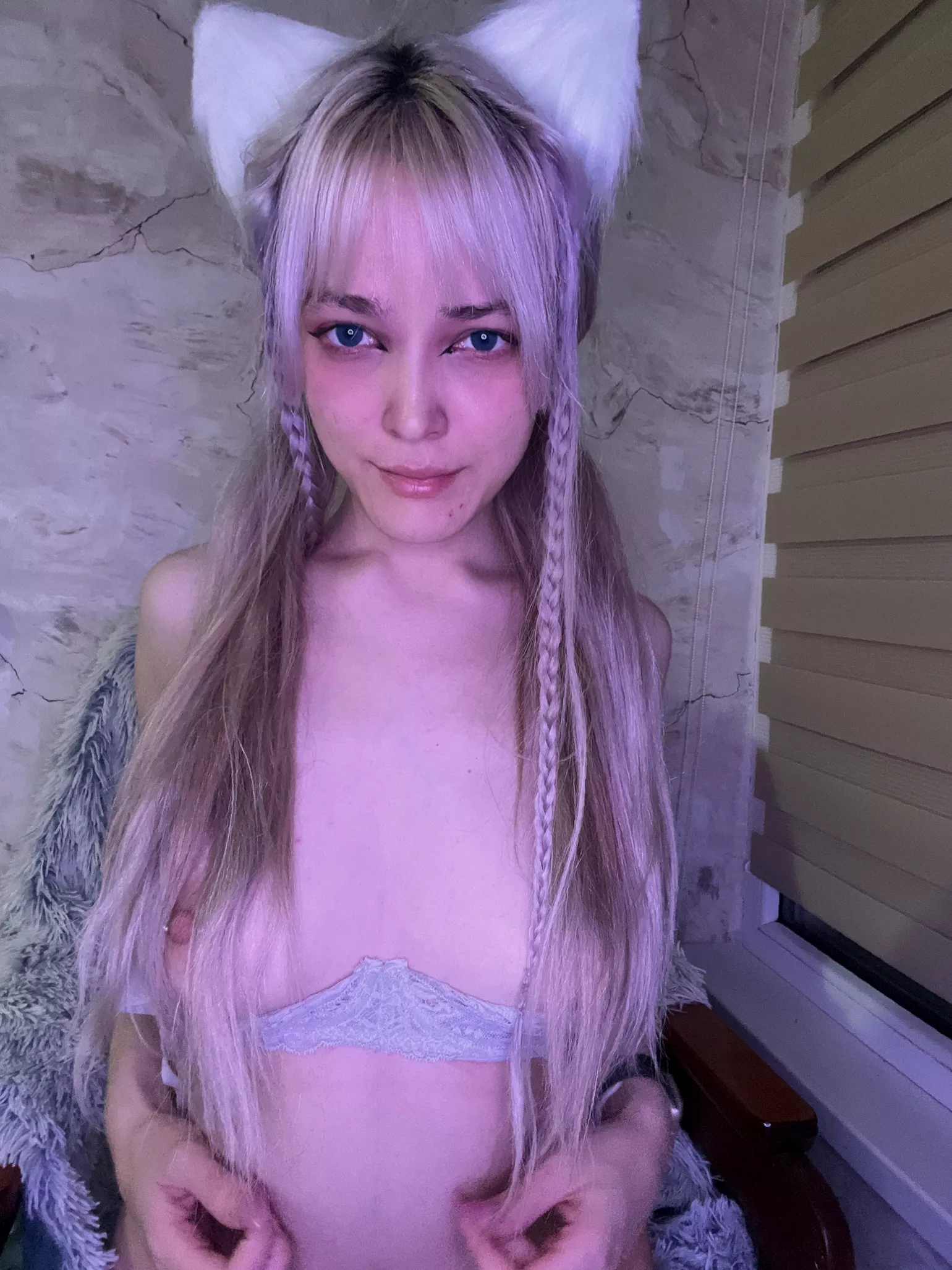 Having a kitten is a big responsibility, do you realize that? posted by dotxavi