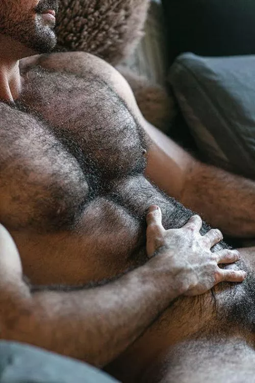 He has his own sweater by SolidAshford