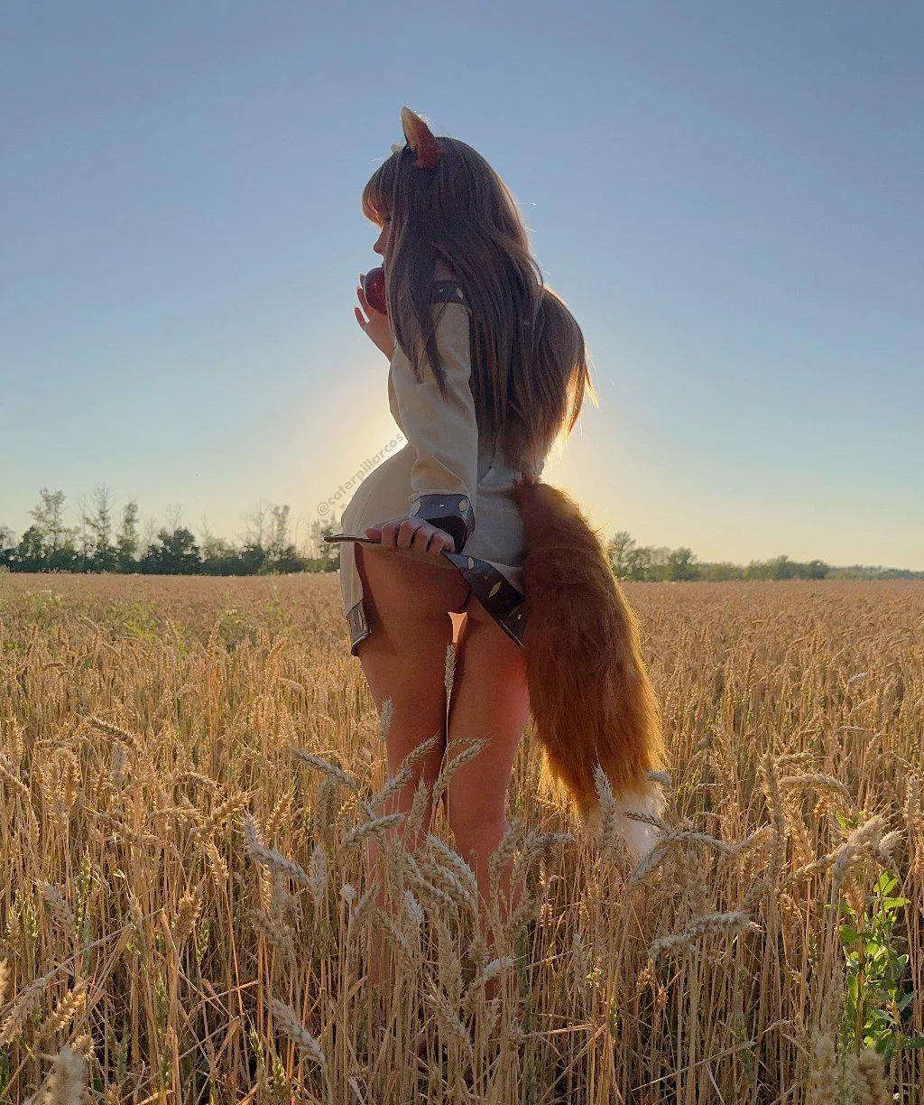 Horo from Spice and Wolf by CaterpillarCosplay posted by CaterpillarCosplay
