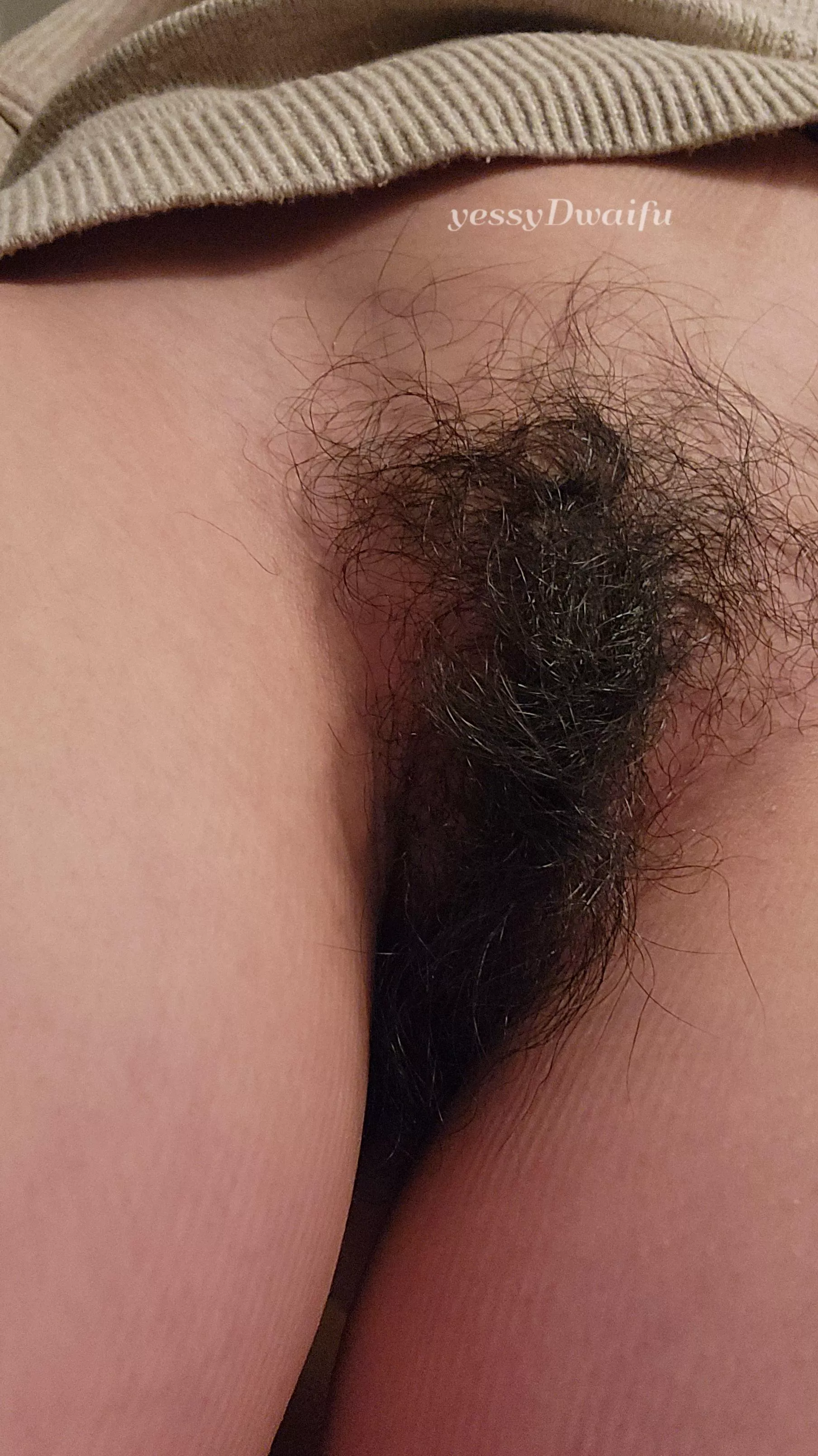 hungry for a midnight snack? posted by yessyDwaifu