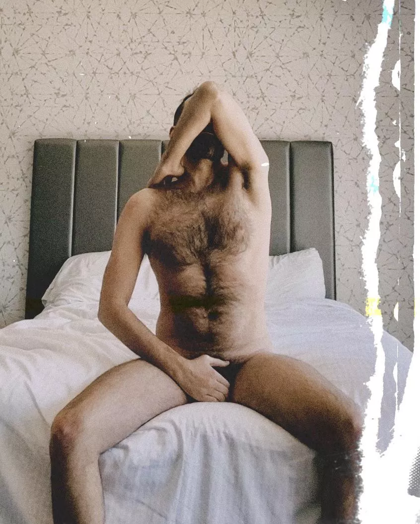 I like being photographed in hotels, where I feel free, playful and relaxed—a perfect recipe for great art. posted by jerseyjaxoff