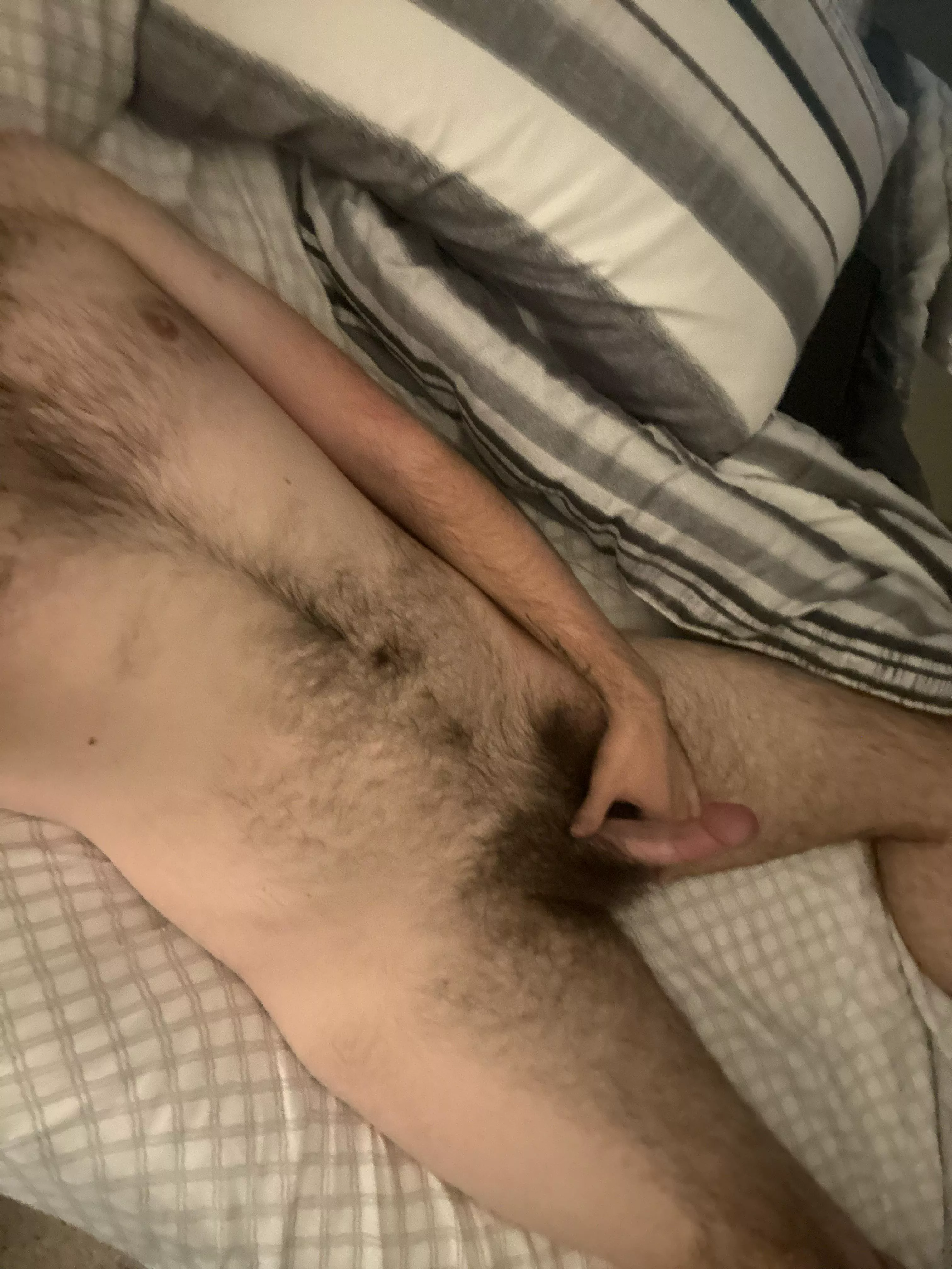 In need of a jerk off buddy  posted by AfternoonSensitive36