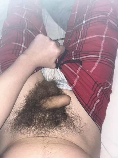 Mine has its own forest😋 by Favoriteteenboy