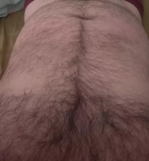 Morning wake up time  by HairyDiplodocus