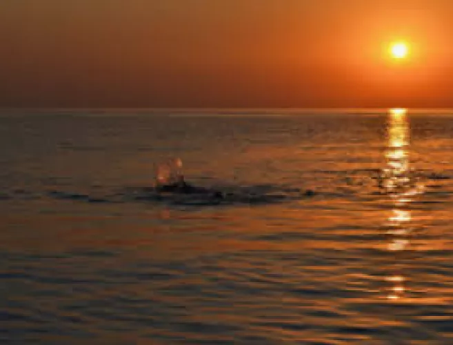 Nice view I caught by wil07514