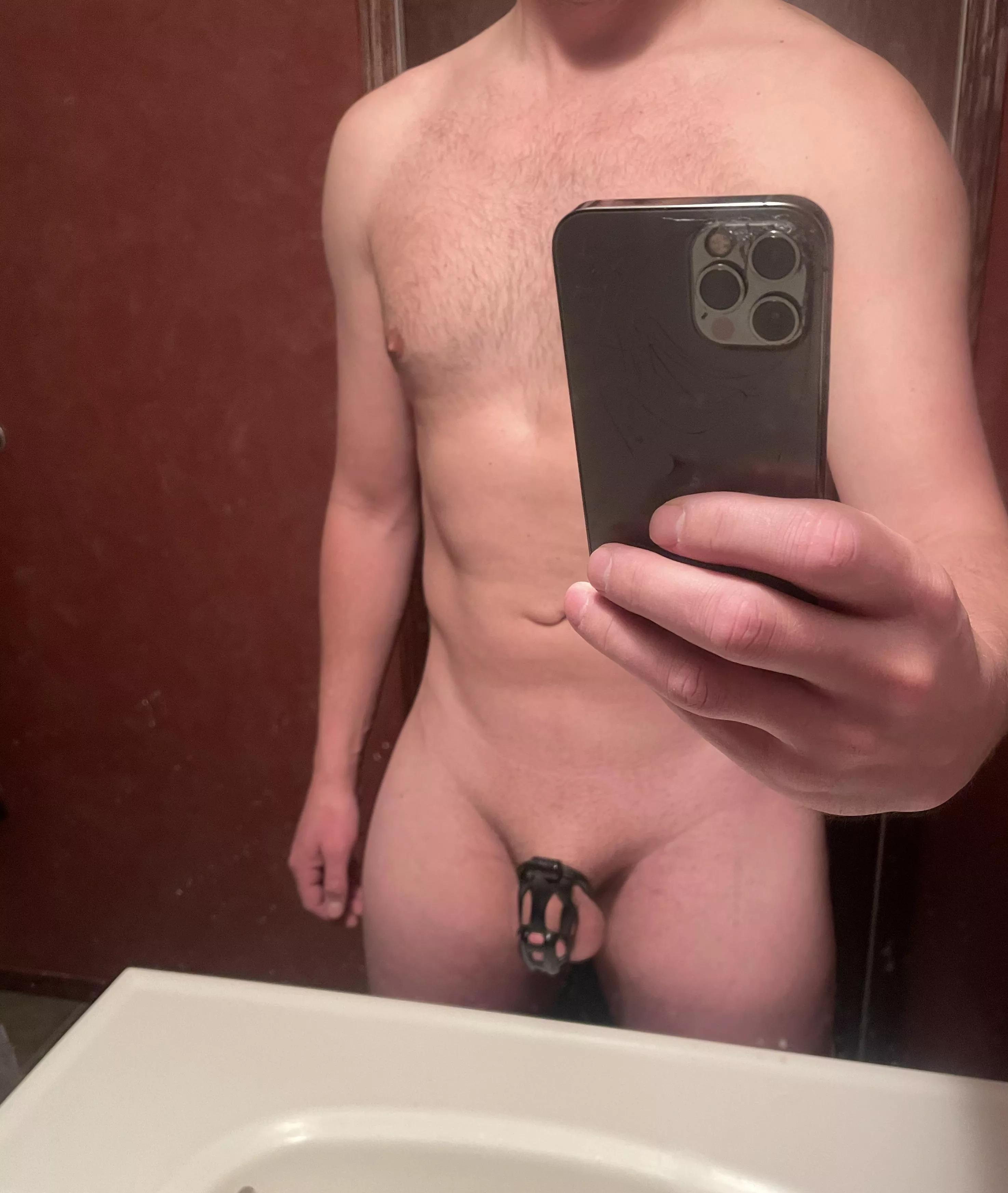 Owner wants to go for a month. Day 4. posted by Rether1