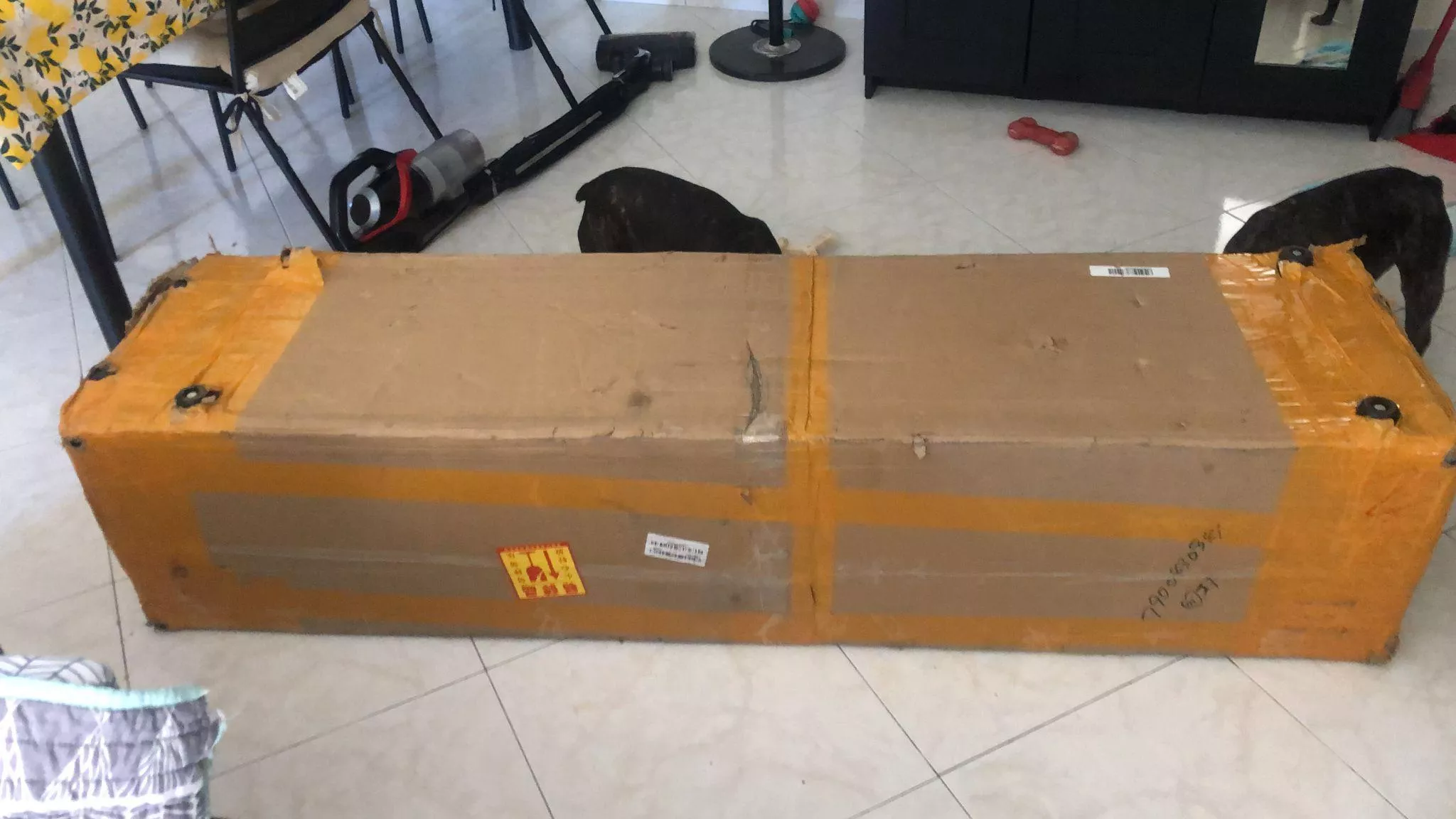 Piperdoll Akira 160cm silicone Review posted by Pure-Meal-4845