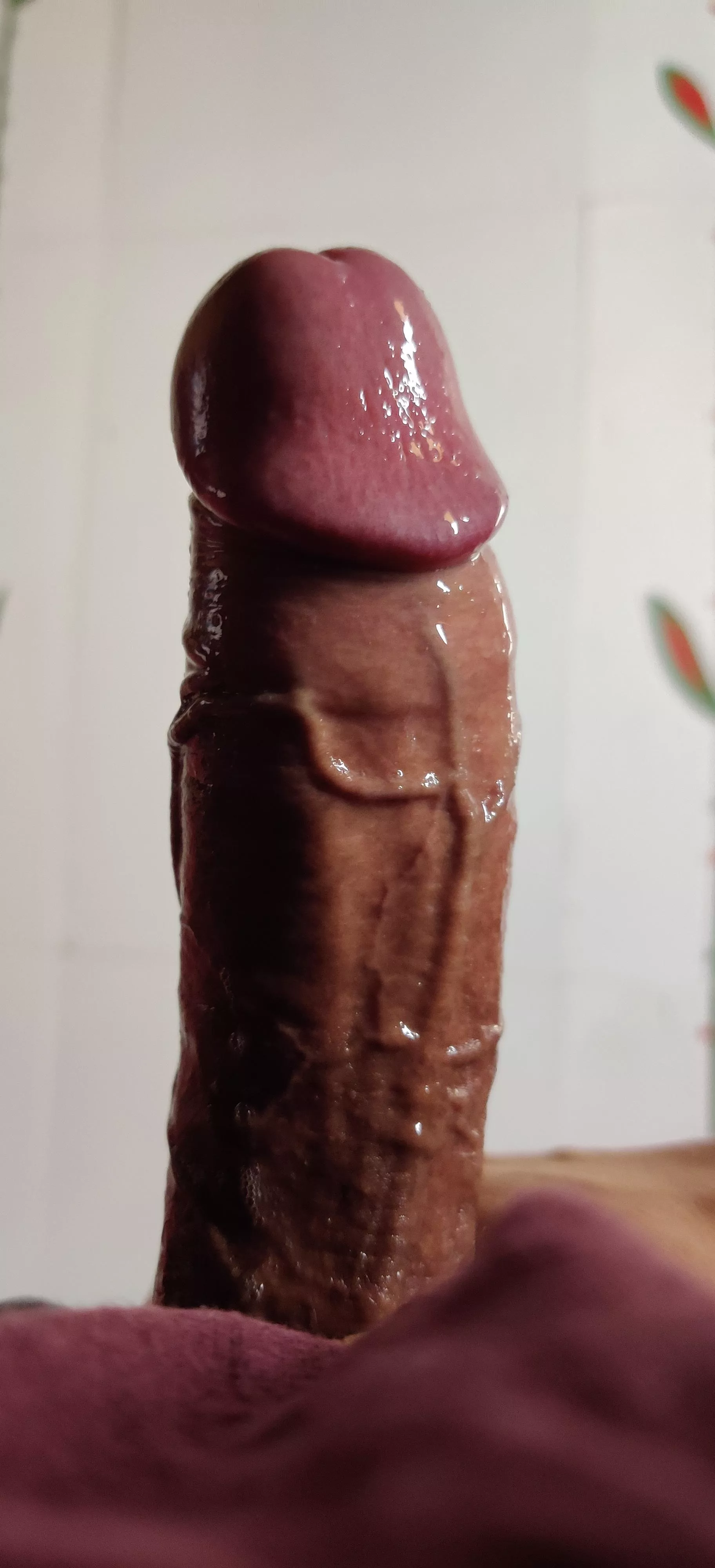 Rate me 🥺❤️ posted by MaintenanceLeft2084