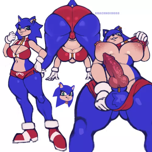 Sonic (Artist:Arachnoid888) by White-Whiskey