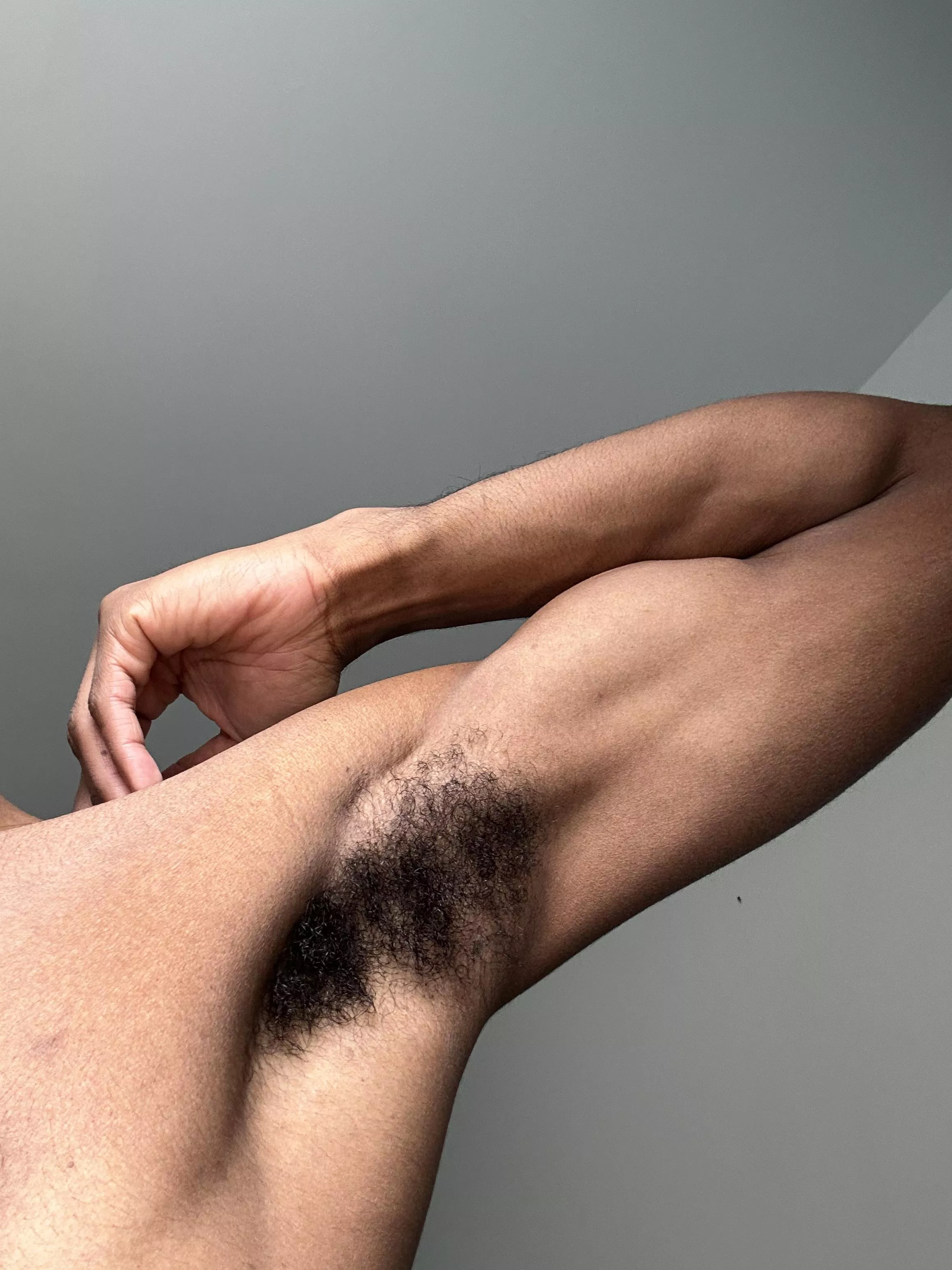 This morning posted by FinePerception3276