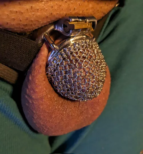 Trying out my new steel mesh chastity cage by Sissy_Felicia
