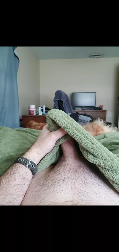 Wake up by ThickBeachwood