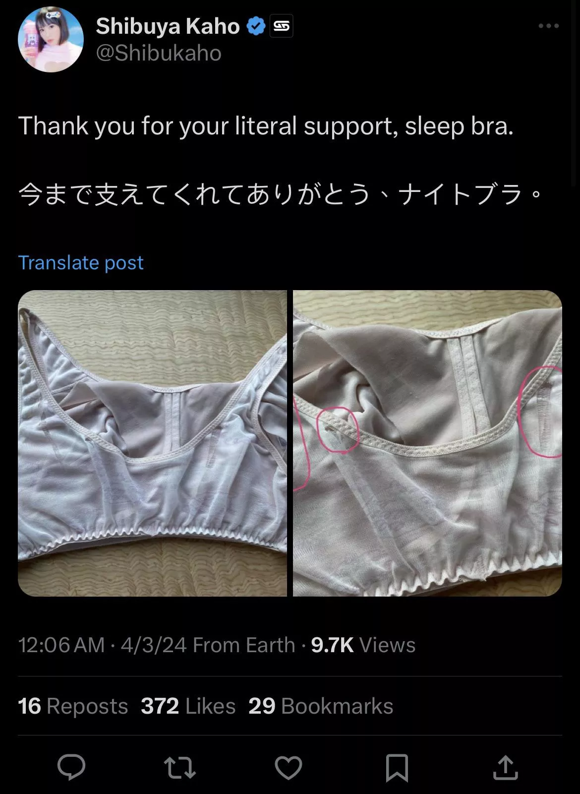 we too would like to thank them for their support posted by hentaisketchy