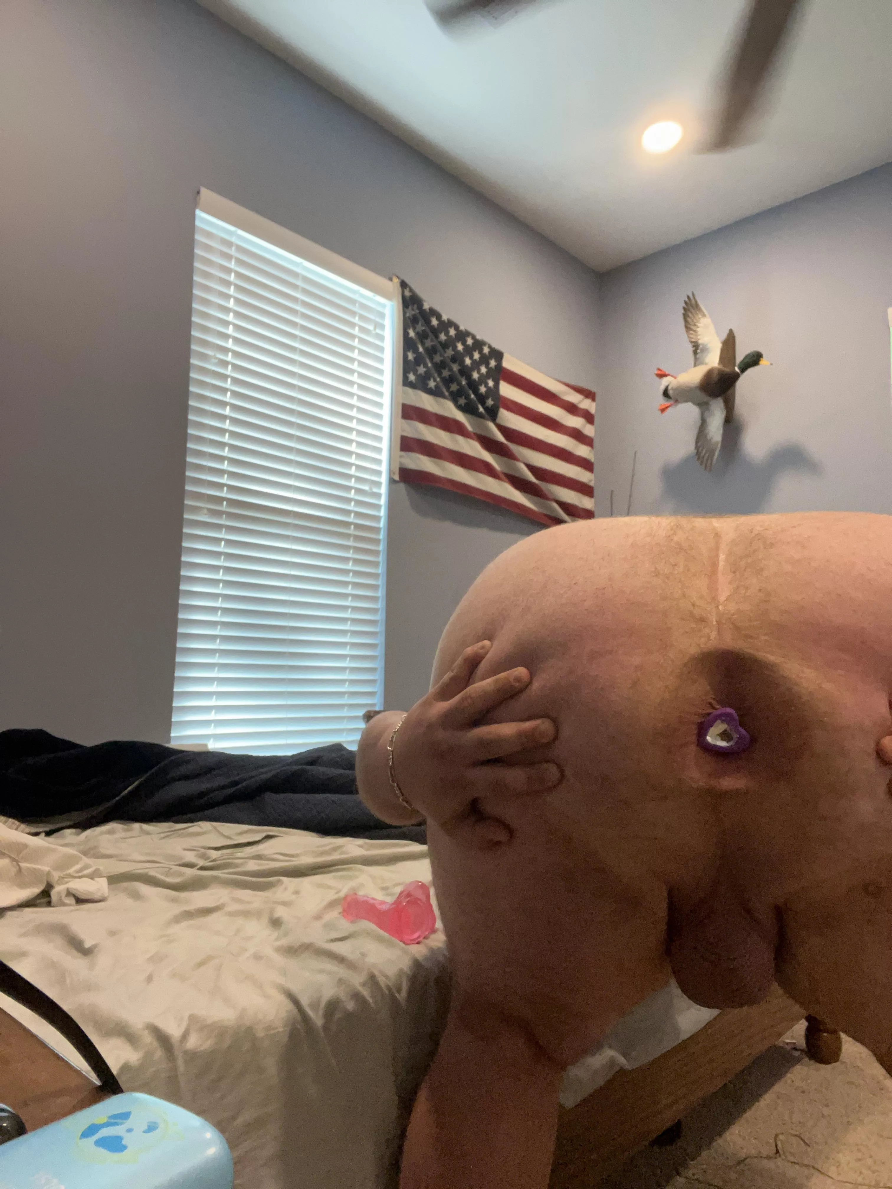 Who wants to see me play with my toys posted by Hot-Mycologist-3382