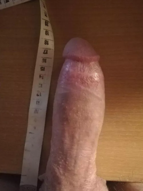 25M BWC bull from Europe Slovenia looking for couples by lazybones25