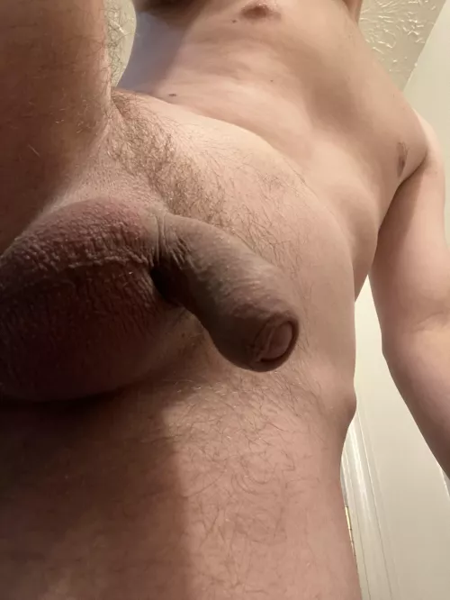 🐢 (27) by PSYOPKing0