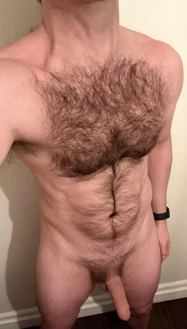 (35) Hairy gamer dad from Chicago. Would you play with me? posted by Dollar-Dick
