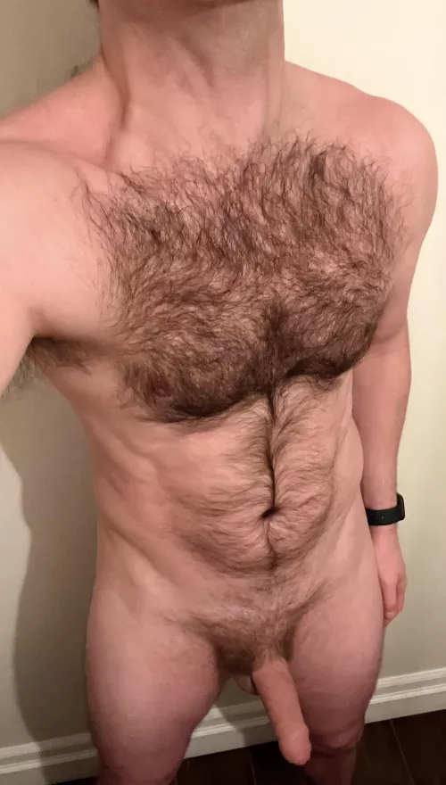 (35) Hairy, man, dad. What do you think? by Dollar-Dick
