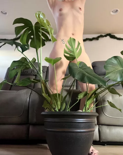 Do you like plants as much as I do by Mrs_Poli_Sci