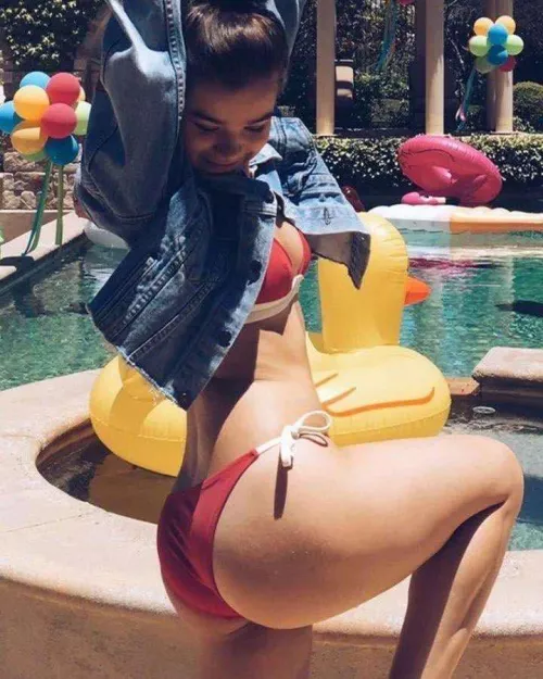 Hailee Steinfeld  by El_Damo99