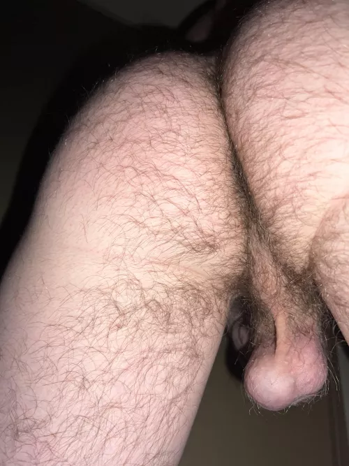 Hairy as fuckk by Drakey2000OF