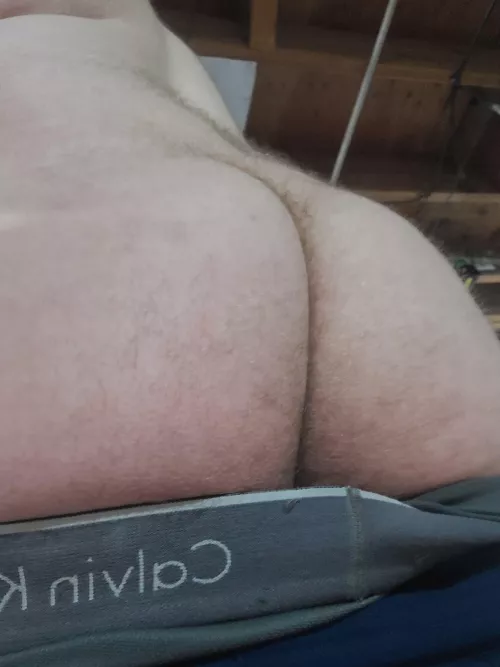 Happy, Hairy Hump Day (36) by WIDaddyDick