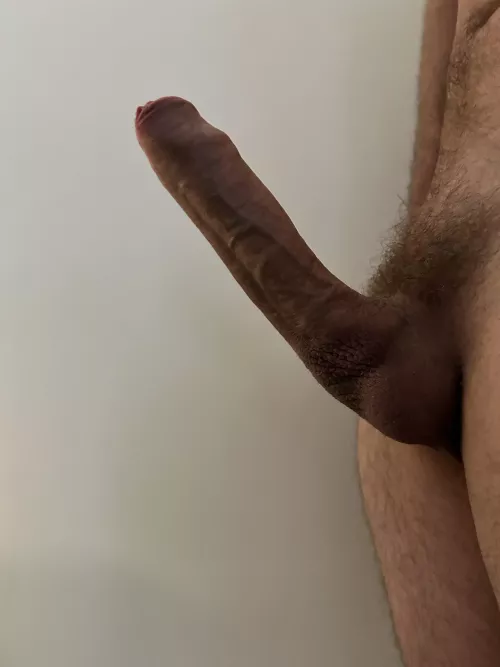 Hasn’t been sucked in months, would you suck it? Honest opinions please.  by thirtysomething103