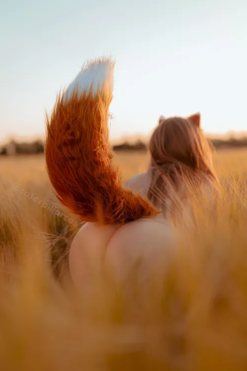 Holo from [Spice and Wolf] by Caterpillar_Cosplay by Kikima812