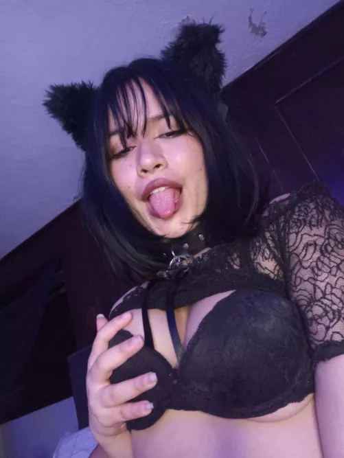 🖤🐾 Meow  by Ill-Interaction-7518