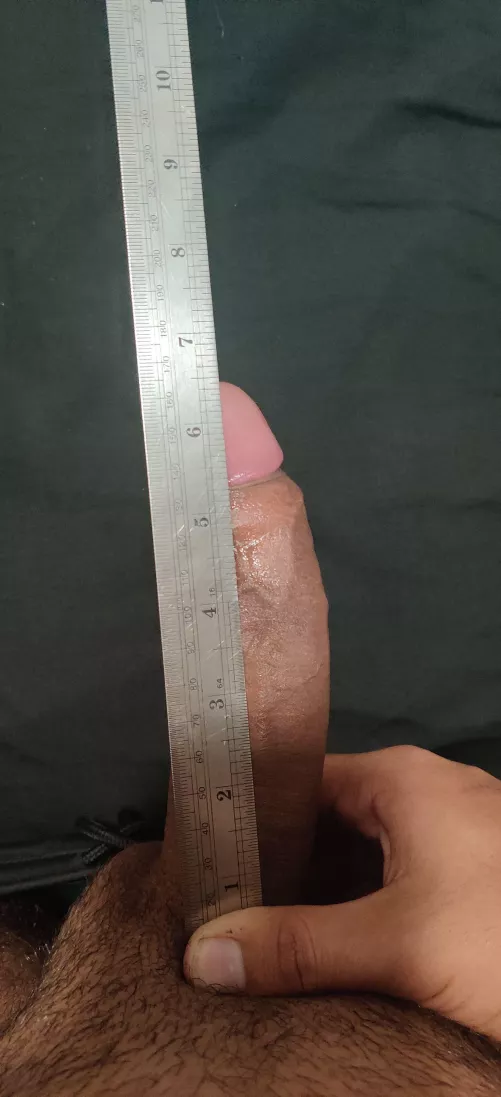 So far the score is 0 for who takes it all 🤷🏽‍♂️ by dragon186