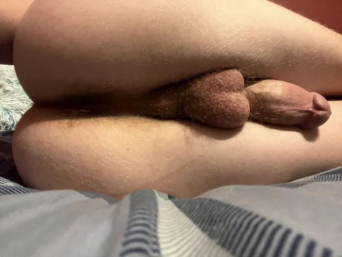 Think you could help me out (dm me for more) by No_Childhood5466