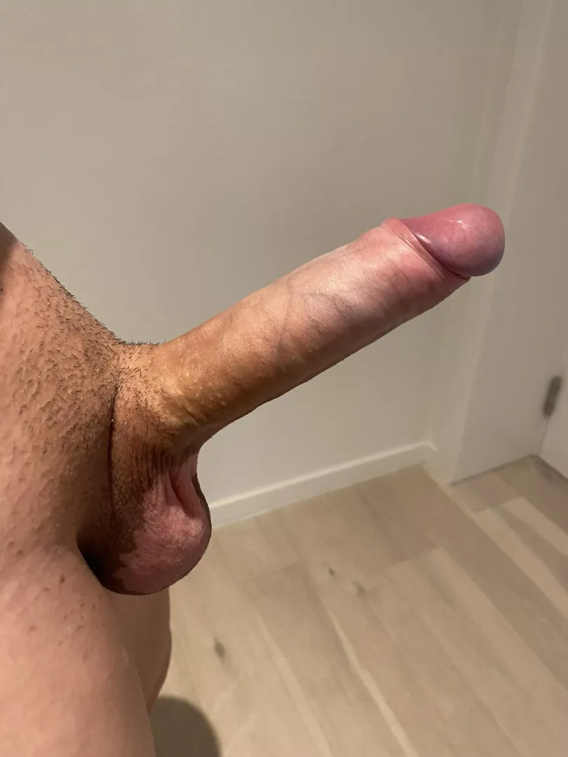 What do you think? posted by Guy_inBelgium