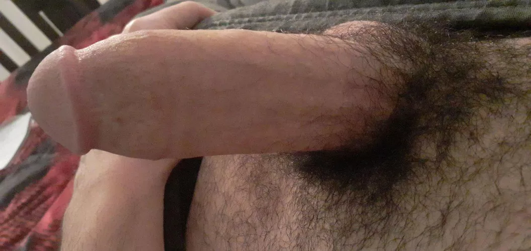 Young Canadian cock. What do you truly think ? by IncubusPrimed