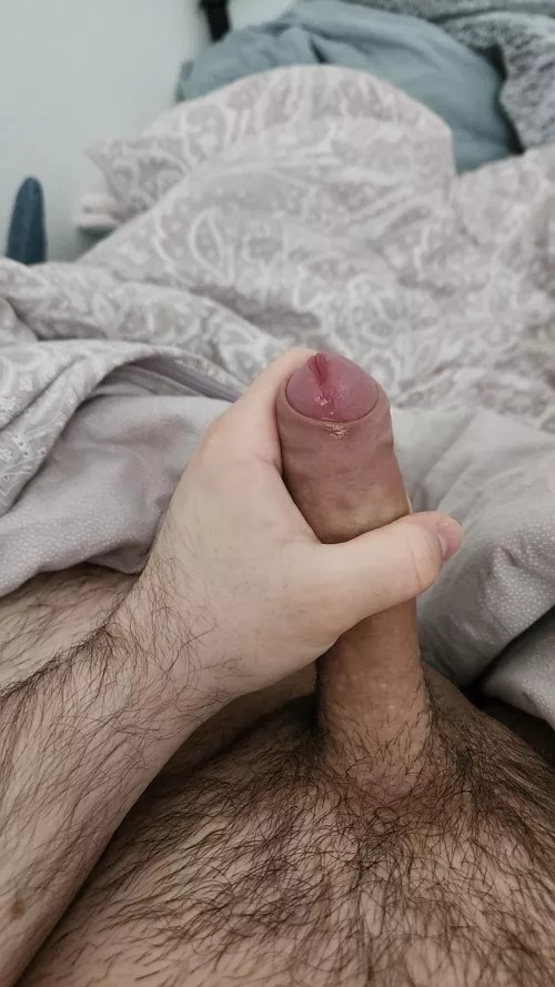 21m college boy looking for chill jerk bros. Everyone welcome hmu matty_hh21 by Available_Finding718