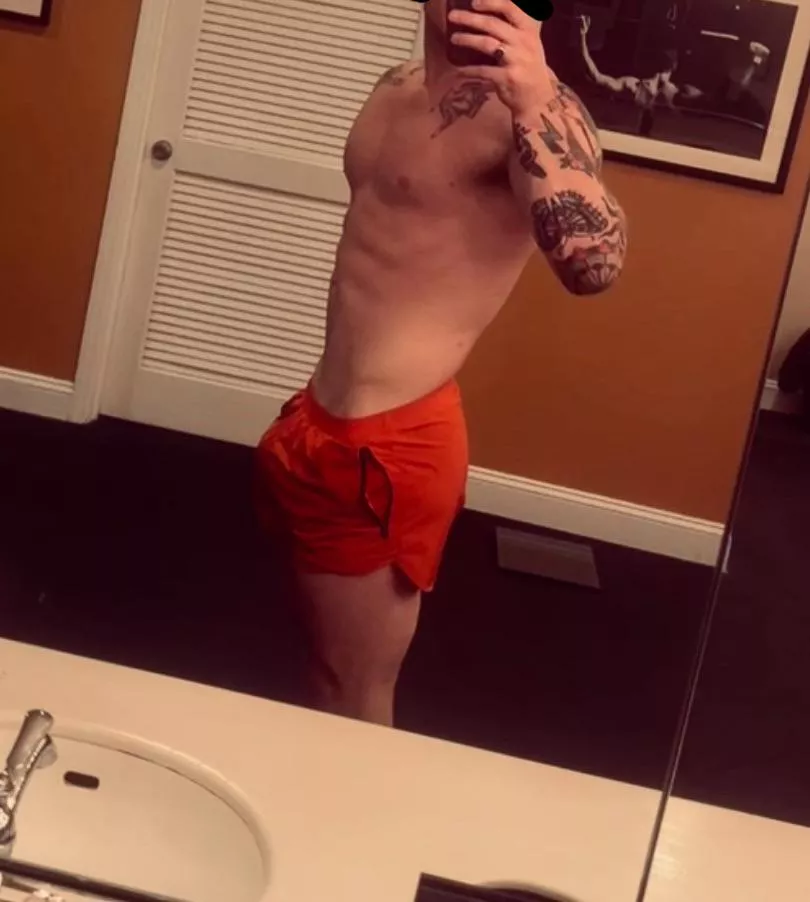 28M Experienced bull for hotwife in Raleigh, NC posted by 19IX