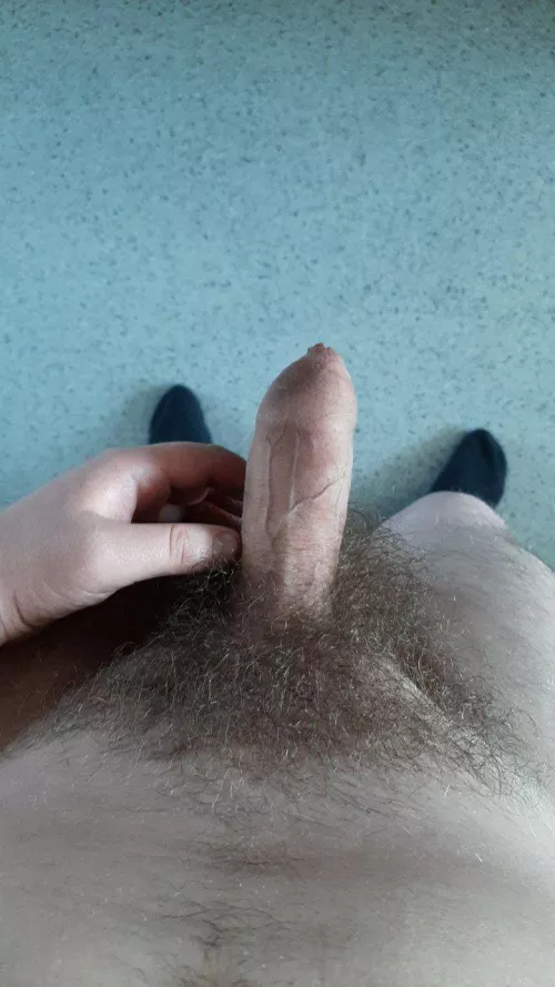 Anyone interested in this cock? by S8ttiw8tti