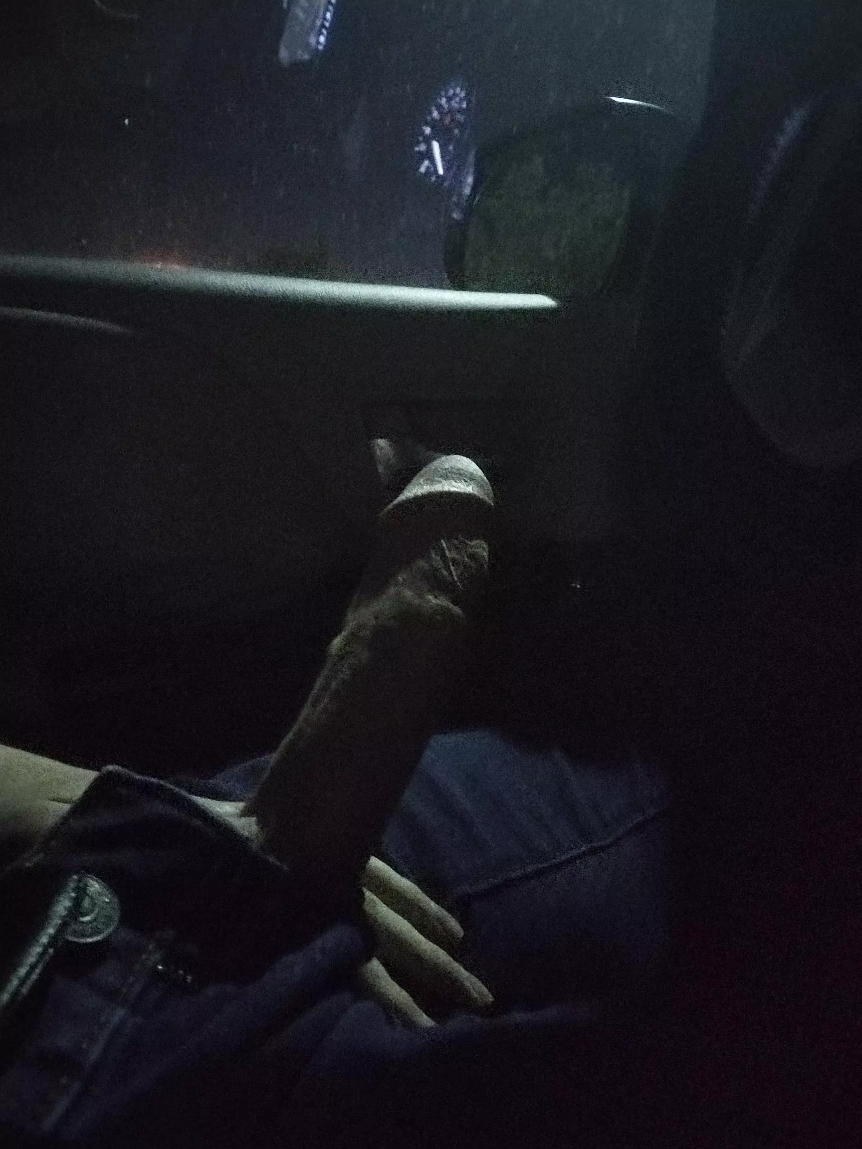 Anyone wanna go for a ride? posted by AgreeableShallot2433