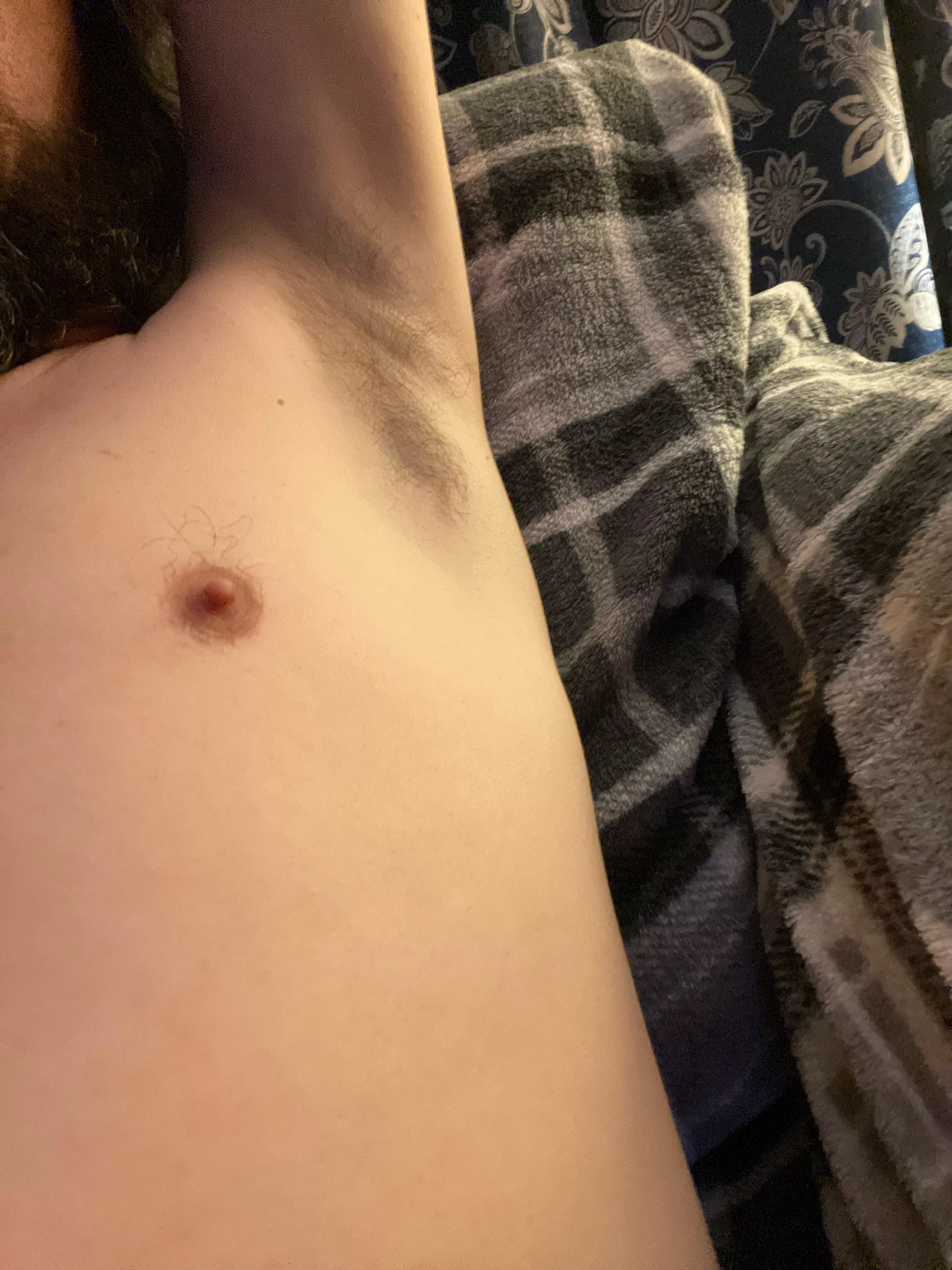 Come give it a sniff  posted by 7freaks