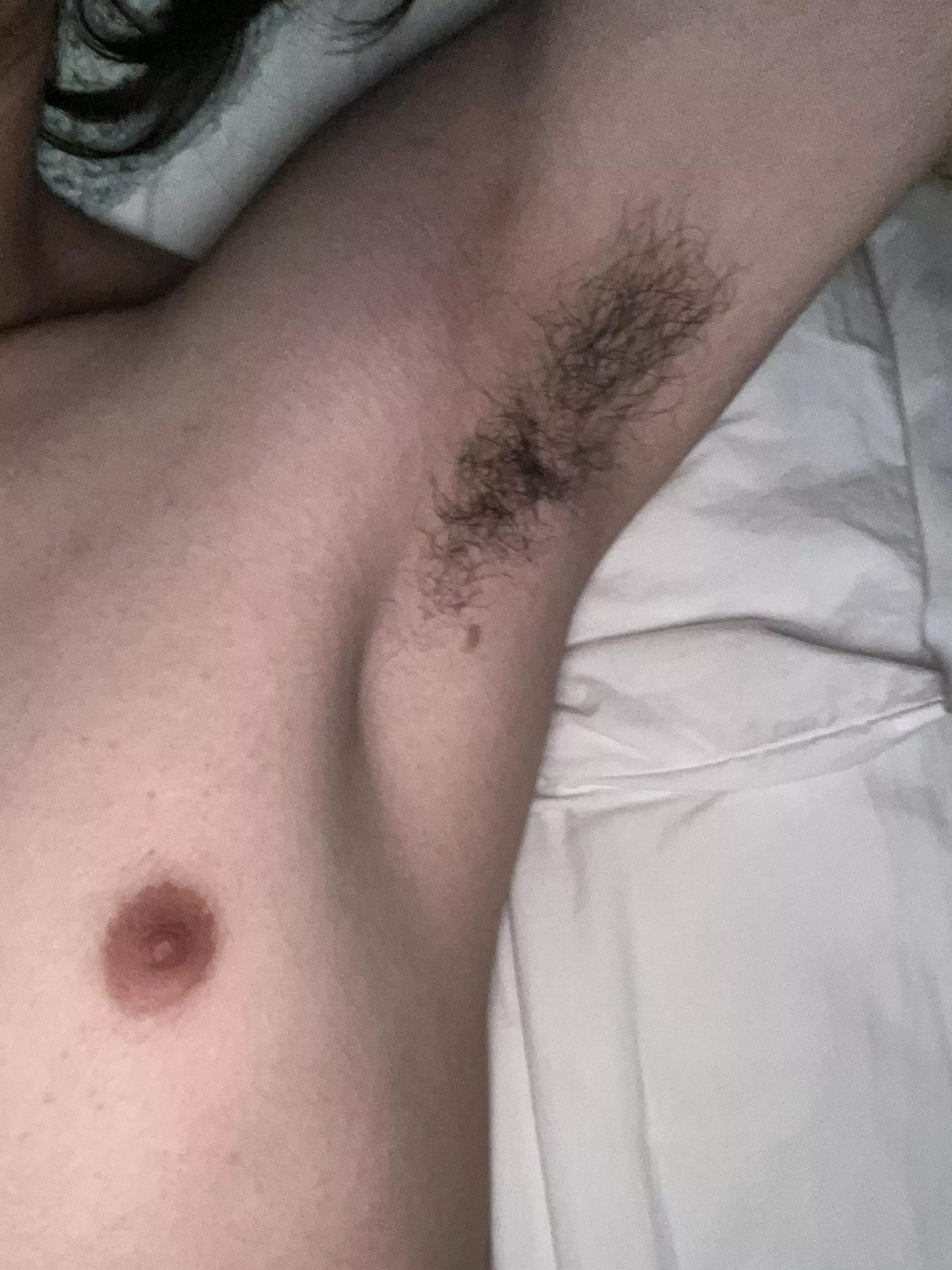 didn’t shower last night, they smell awesome posted by pepper_boi05