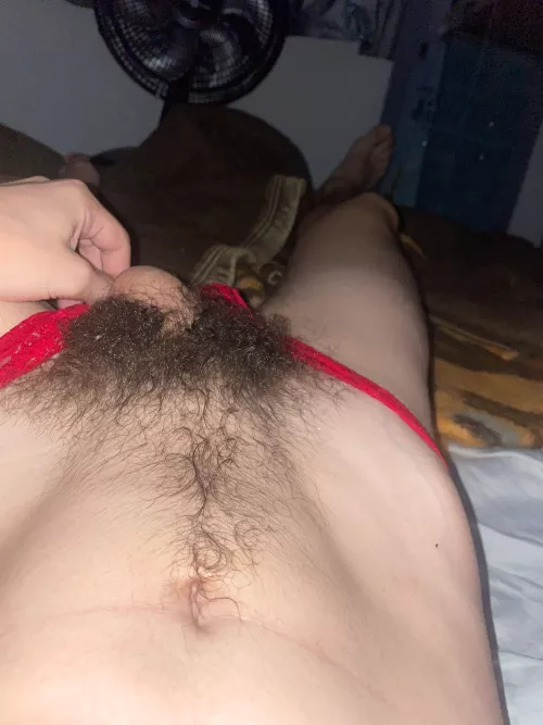 fullbush by Leading_Station5748