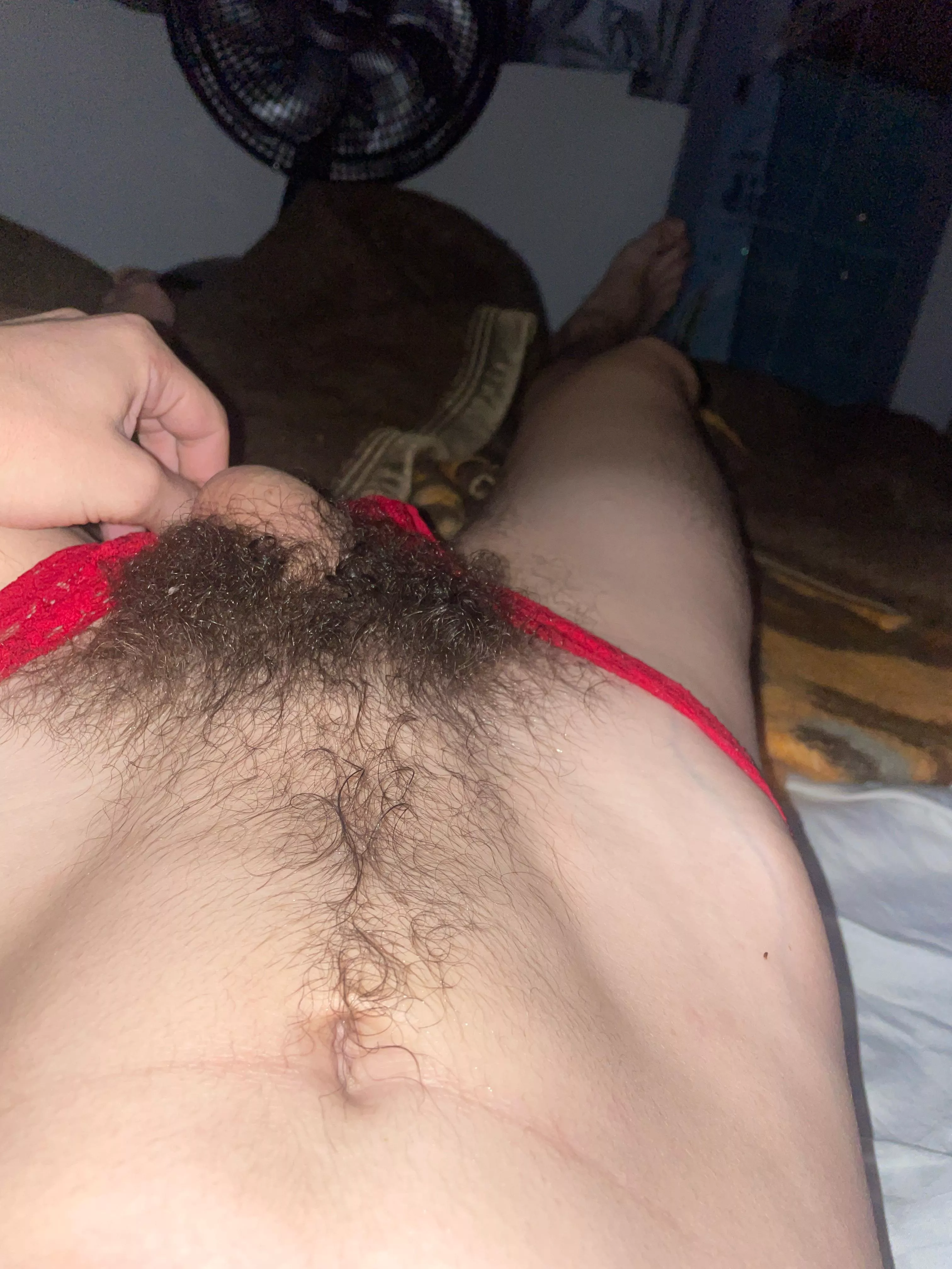 fullbush posted by Leading_Station5748