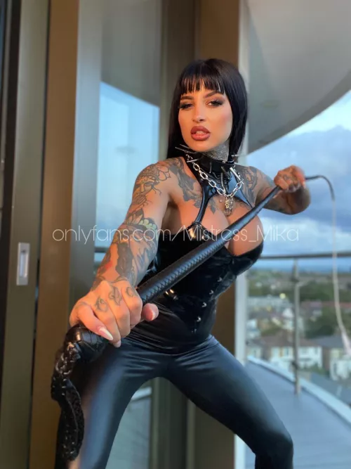 Interesting or not? by starklyFeign