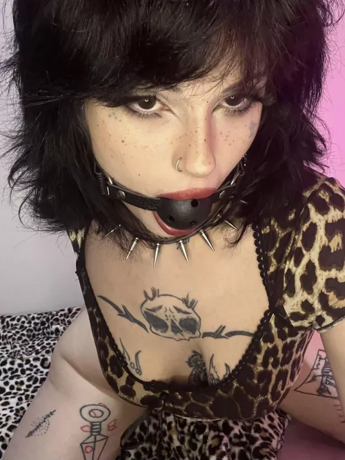 is the choker a good fit?  by BlizzardRecruiter