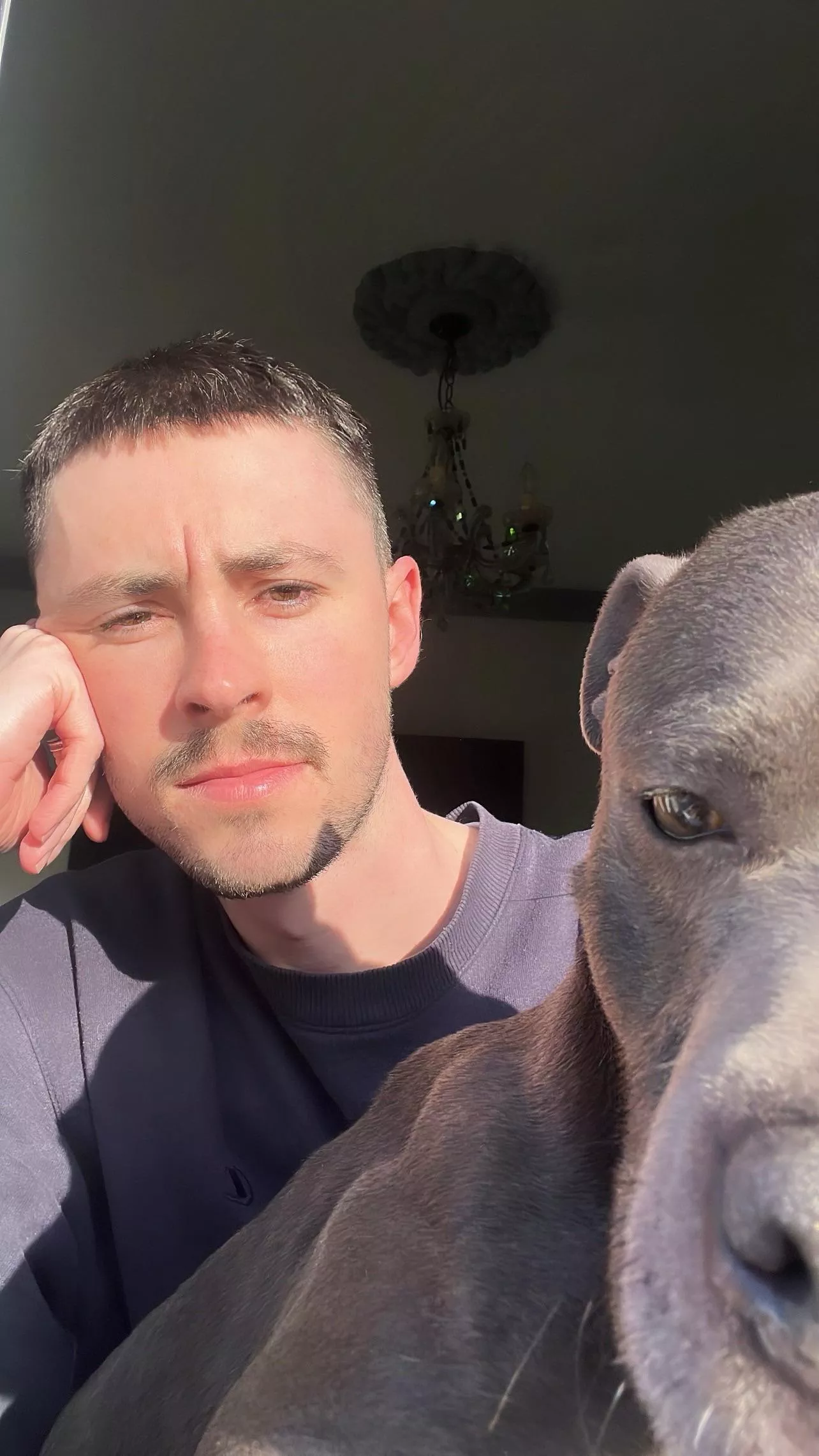 Just a couple of besties 🐶  posted by throwRA_big_tea