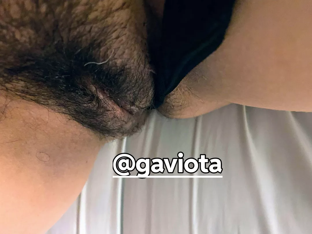 My boyfriend want to shave me My boyfriend wants me to shave it but I think I have to let it grow a little longer, what do you thing  posted by Overall_Abalone7265