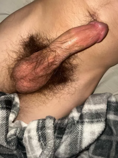 my hairy cock by woooty420