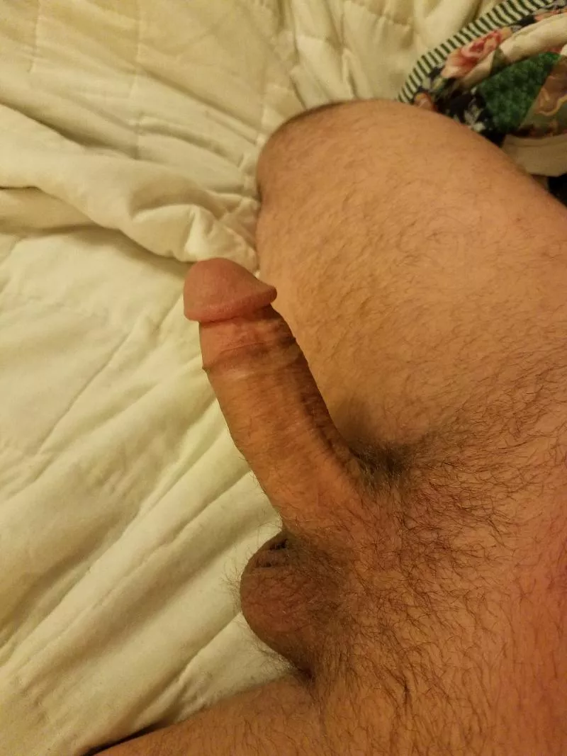 OTTER BONER posted by funotter2070